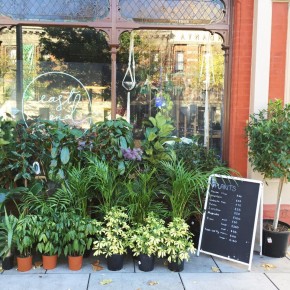 @EastEndFlowerMarket